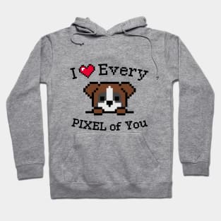 I love every Pixel of You Hoodie